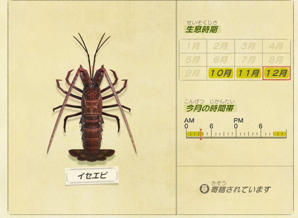 【あつ森】１０月から出現する虫・魚・海の幸一覧（色んなまとめ）